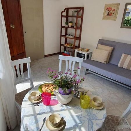 Maggie House Villa Lucca Ngoại thất bức ảnh